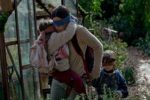 "Rapidinha" Bird Box - Comentários