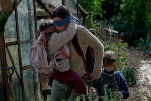 "Rapidinha" Bird Box - Comentários